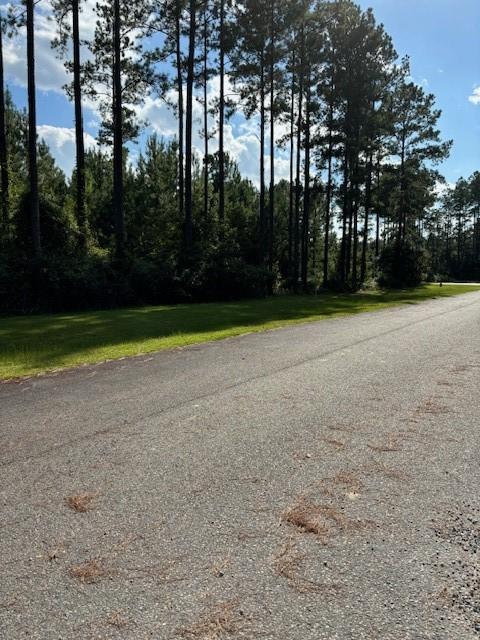 Listing photo 3 for LOT4 La Vento Ln, Waverly GA 31565