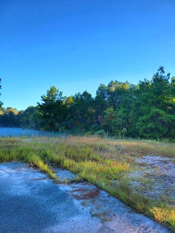 06 Alton Cir, Waycross GA, 31501 land for sale
