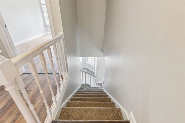 staircase with a wealth of natural light