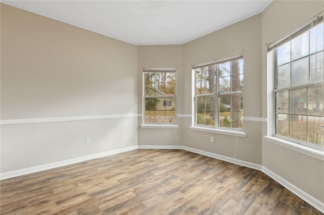 spare room with hardwood / wood-style floors and crown molding