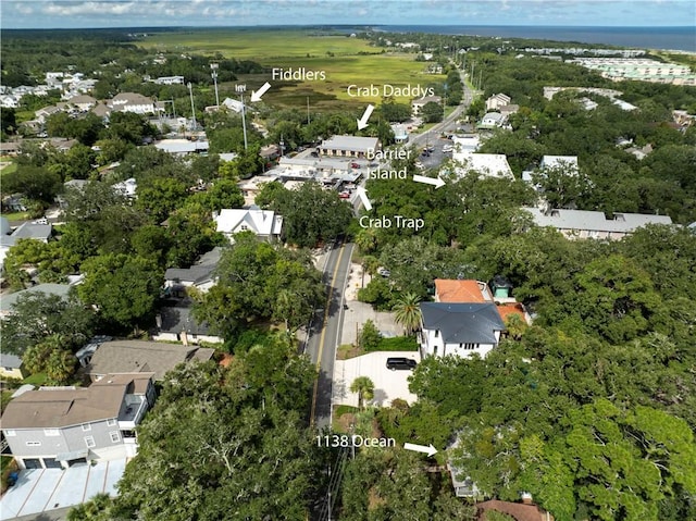 1138 Ocean Blvd, Saint Simons Island, GA 31522 - aerial overview of property's location with nearby suburban area