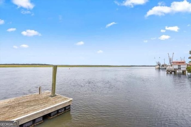 dock area featuring a water view