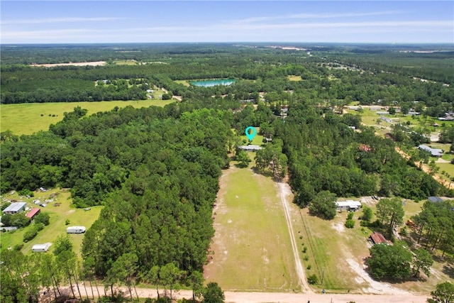 314 King David Rd, Jesup, GA 31545 - view of property location featuring a forest and a large body of water