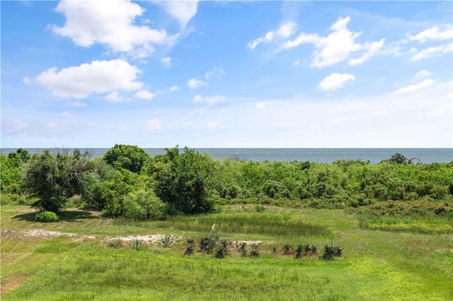 view of local wilderness with a water view