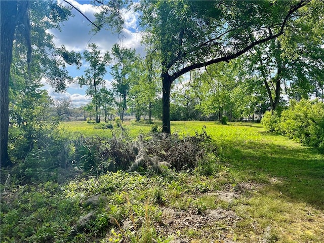 LOT33 Coopers Point Dr NE, Townsend, GA 31331