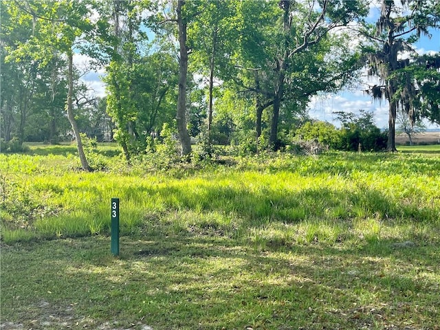 LOT33 Coopers Point Dr NE, Townsend, GA 31331