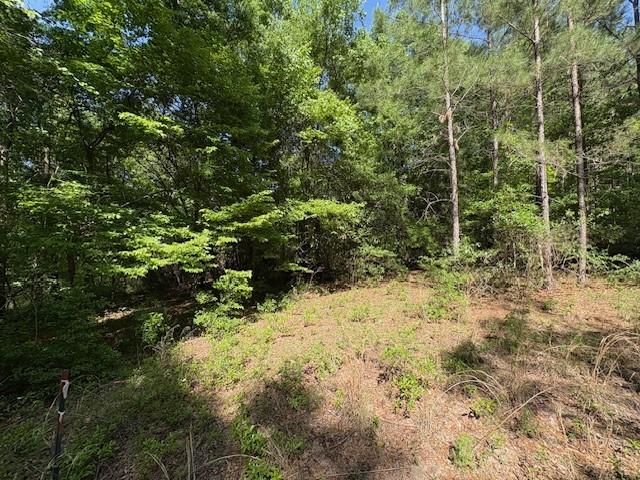 Lot9 Moss Landing, Jesup, GA 31545