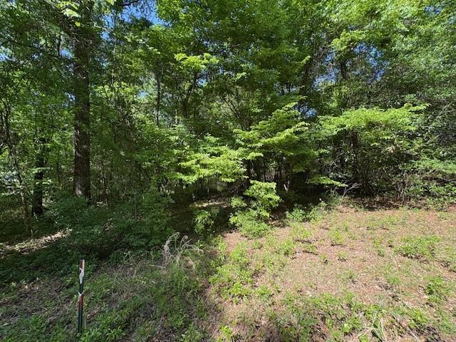 Lot9 Moss Landing, Jesup, GA 31545