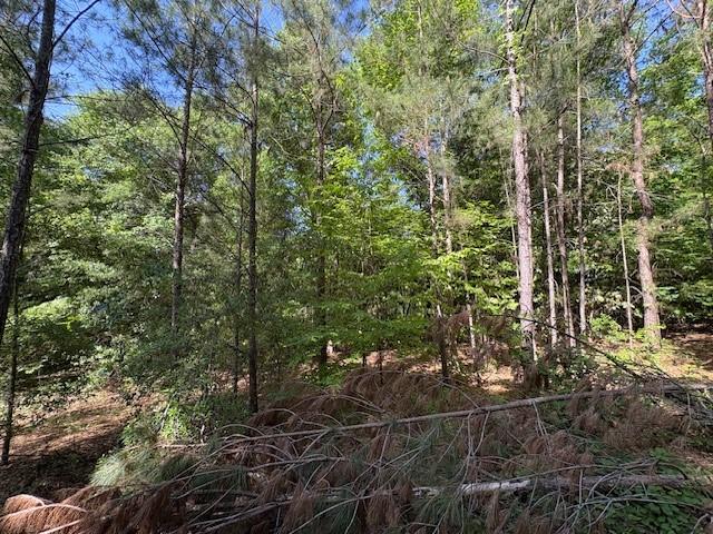 Lot9 Moss Landing, Jesup, GA 31545