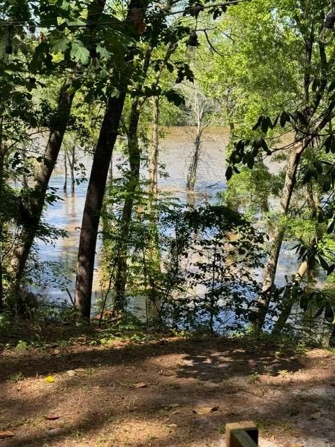 Lot9 Moss Landing, Jesup, GA 31545