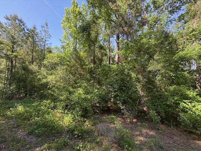 Lot9 Moss Landing, Jesup, GA 31545