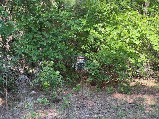 Lot9 Moss Landing, Jesup, GA 31545