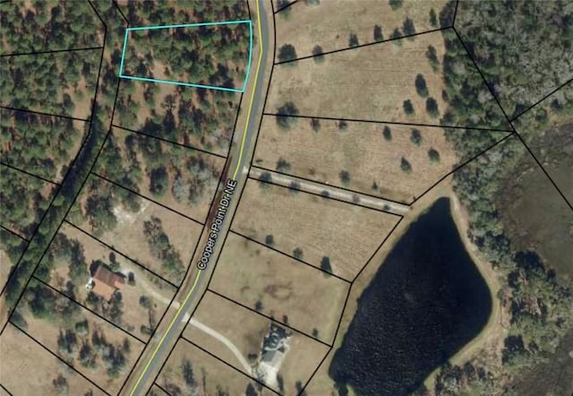 Listing photo 3 for LOT72 Coopers Point Dr NE, Townsend GA 31331