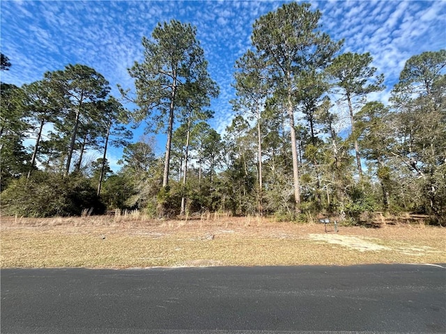 Listing photo 2 for LOT72 Coopers Point Dr NE, Townsend GA 31331