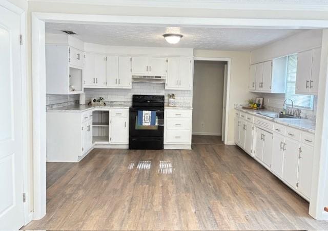 kitchen with a sink, tasteful backsplash, and black range with electric stovetop