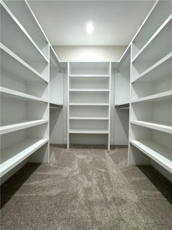 193 W Melody Dr, Jesup, GA 31545 - spacious closet featuring carpet flooring