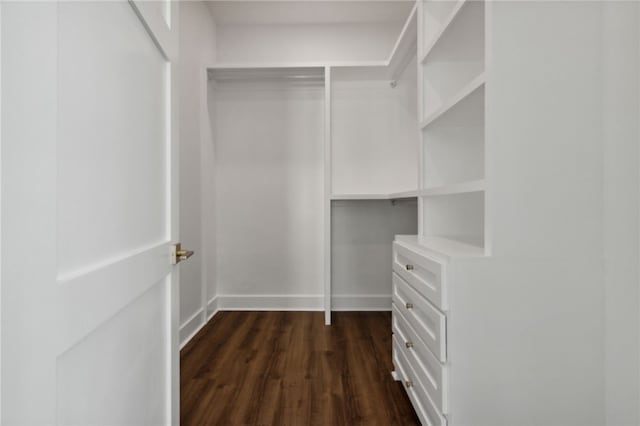 spacious closet with dark hardwood / wood-style flooring