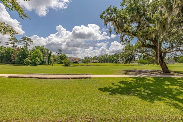 265 Harbor Pointe Dr, Brunswick, GA 31523 - view of home's community with a yard
