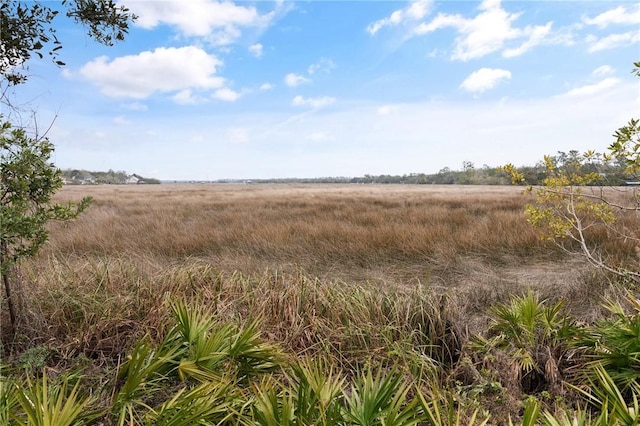 view of local wilderness featuring a rural view