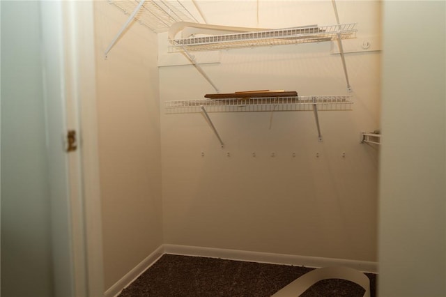 spacious closet with carpet