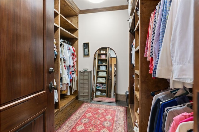 walk in closet featuring wood finished floors
