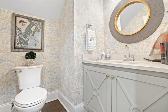 bathroom featuring vanity, toilet, and hardwood / wood-style floors