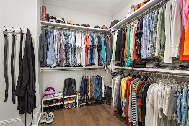 walk in closet with hardwood / wood-style flooring