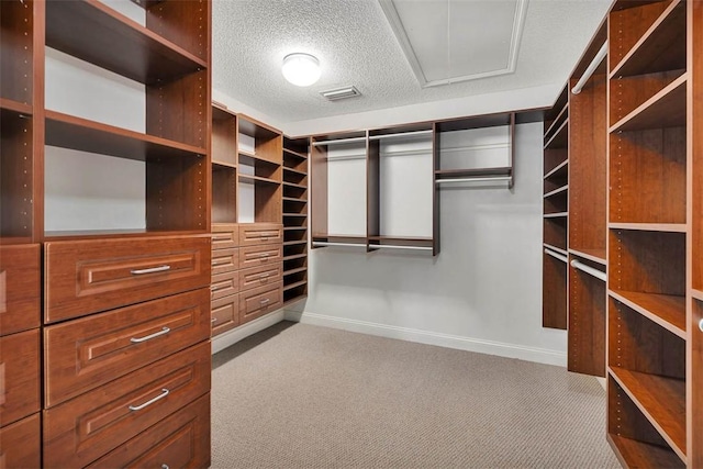 spacious closet with light carpet