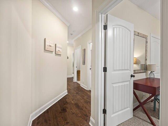 hallway with dark hardwood / wood-style floors and ornamental molding