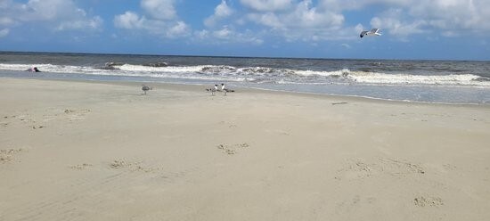 water view with a beach view