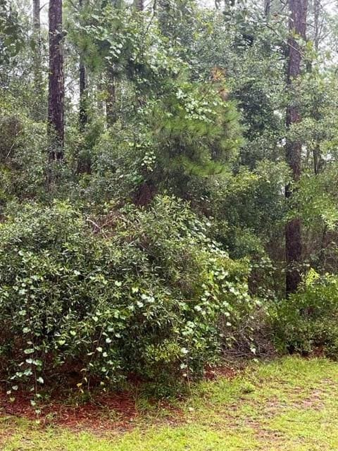 0 Kendallwood Dr, GA, 31768 land for sale