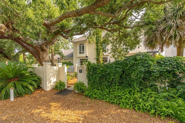 407 Butler Ave, Saint Simons Island, GA 31522 - view of fenced yard