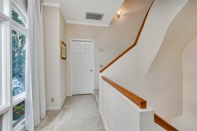 407 Butler Ave, Saint Simons Island, GA 31522 - hall featuring stairs, baseboards, light carpet, and crown molding