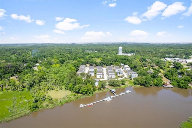 102 Cathead Ln, Darien, GA 31305 - birds eye view of property with a water view and a view of trees