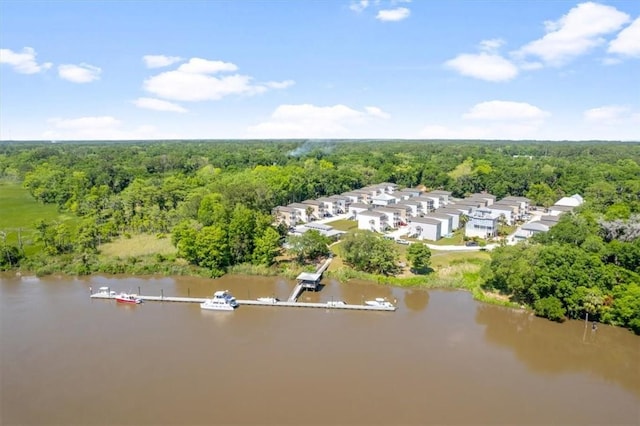 102 Cathead Ln, Darien, GA 31305 - aerial view with a water view and a view of trees