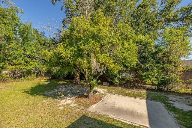 2503 Cleburne St, Brunswick, GA 31520 - view of green lawn with a patio