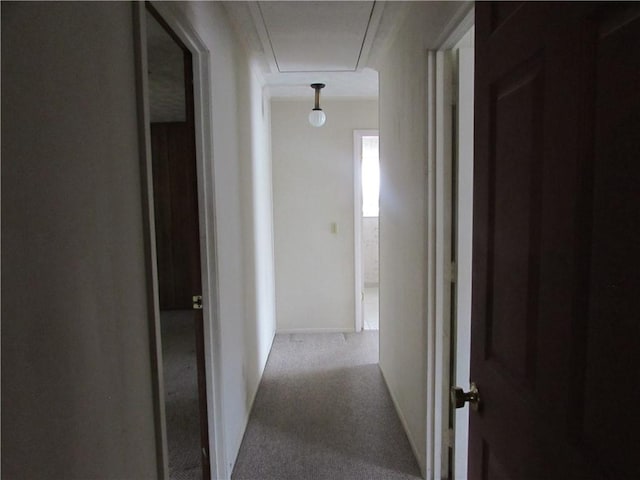 corridor with light colored carpet