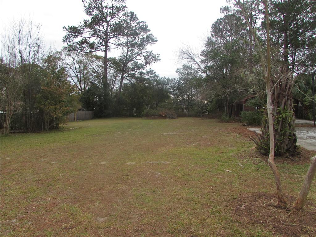 1691 Huckaby Rd, Waycross, GA 31503 - view of yard