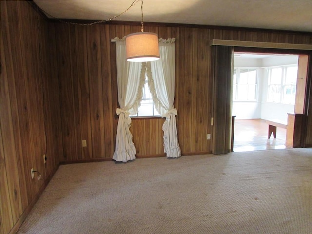 spare room featuring wood walls, plenty of natural light, and carpet floors