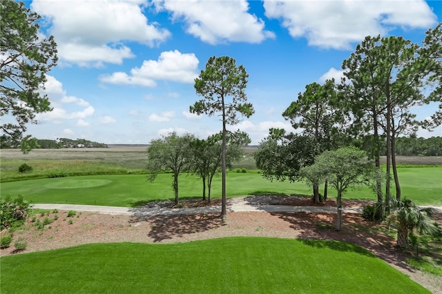 view of property's community with a yard