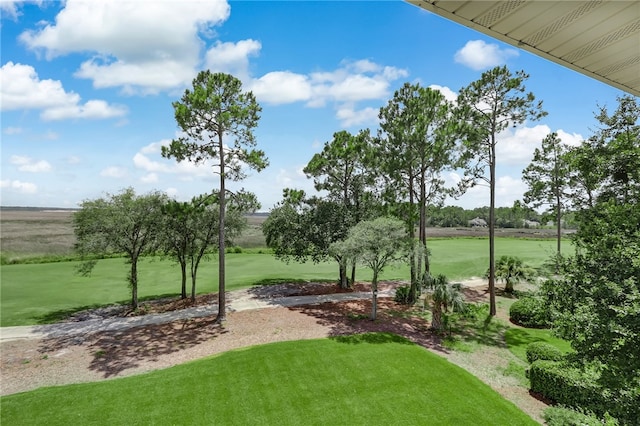 view of community with a lawn