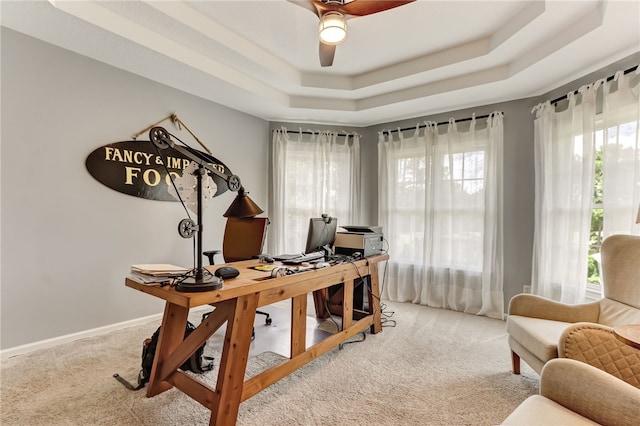 carpeted office space with a healthy amount of sunlight and a tray ceiling