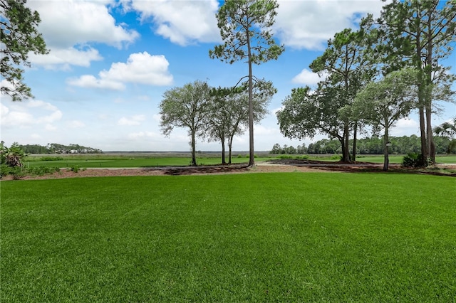 view of yard featuring a rural view