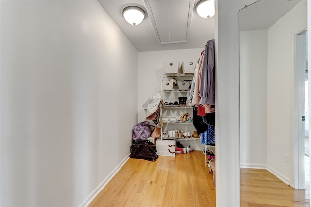 spacious closet featuring wood-type flooring