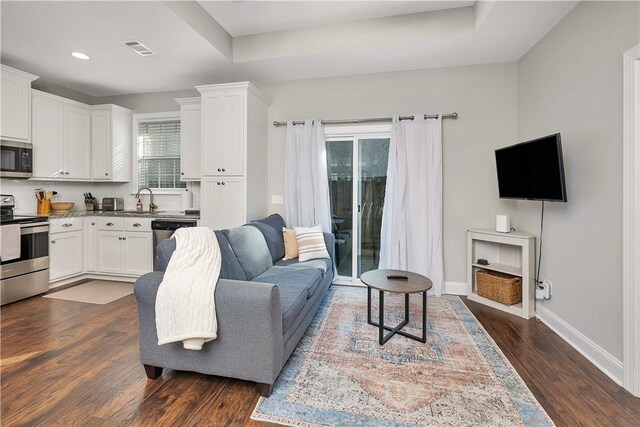 living room with a raised ceiling, dark wood-type flooring, and sink