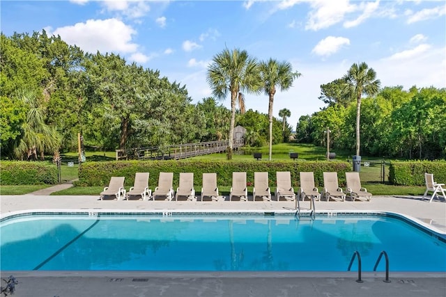 view of swimming pool with a patio area