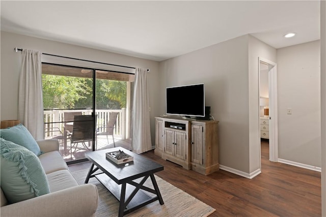 living room featuring dark wood-type flooring