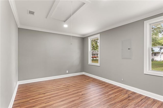 empty room featuring electric panel, hardwood / wood-style flooring, and a wealth of natural light