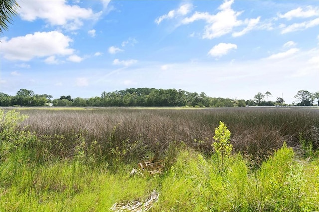 view of nature with a rural view