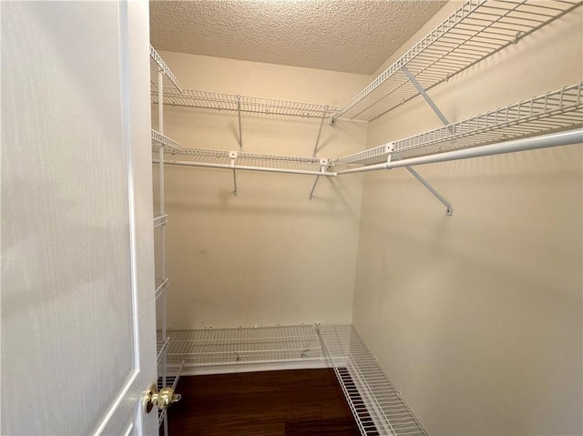 walk in closet with wood finished floors